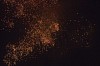 silvester - (c) c tussing.jpg